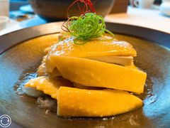 农村脆皮咸鸡-三利音·东方司宴(外滩店)