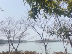 -苏州太湖国家湿地公园