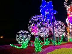 -悦海公园