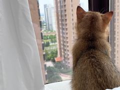 -小四川美食馆(幸福路店)