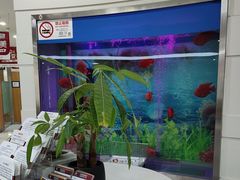 -雅悦齿科(顾村公园店)