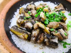 -红星光发煲仔饭(大石街店)
