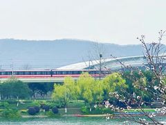 -羊山湖公园