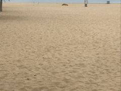 景点-螺州海滨公园