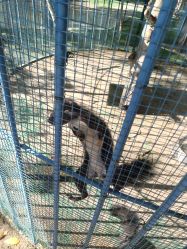 -萌宠亲子动物乐园(槐房万达店)