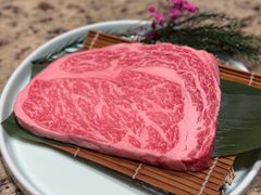 -老乾杯(深圳湾万象城店)