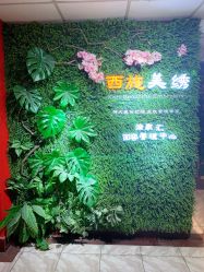 -西施无菌半永久纹绣眉眼影唇轻增发纹发际线
