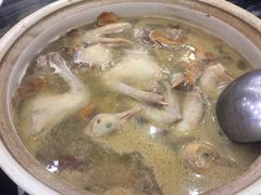 -鸽鸟轩(石岐店)