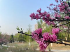 -滨河世纪广场公园