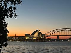 -麦考利夫人座椅