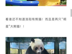 -栾川竹海野生动物园