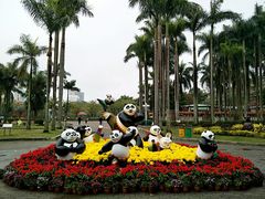 -金砂公园