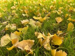 -争鲜回转寿司(金桥家乐福店)