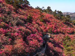 -木兰云雾山