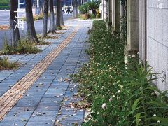 -美兰湖景区