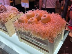 -漫·汤泉