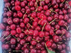 -岳各庄批发市场(西四环中路店)