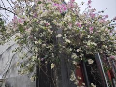 -三溪村