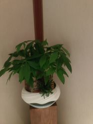 -琴美美容美发·三美会所