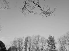 -贡湖湾湿地公园