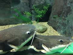 -常州海昌海洋探索馆