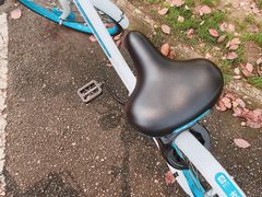 -艾溪湖湿地公园