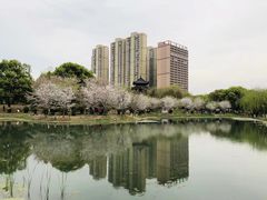 -堤角公园