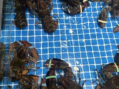 -渔港甄宴·海鲜·地标烟台菜(金沙滩店)