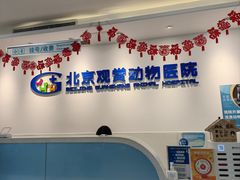 -北京观赏动物医院·24小时大型综合·猫专科·异宠专科