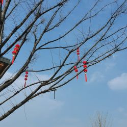 -玄武湖景区-情侣园游乐场