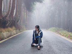 -武陵山森林公园