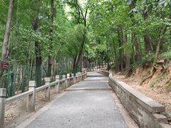 -灵岩山风景区