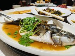 檸檬烏頭-大荣华酒楼(元朗老店)