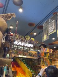 -卡通尼·Safari非洲探索乐园·生日会(金桥国际商业广场店)