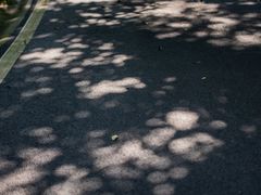 -广州雕塑公园