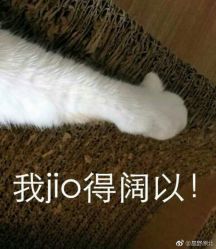 -柯琳造型