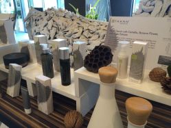 -THANN EXPRESS SPA