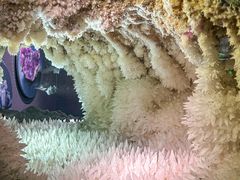 -湖南省地质博物馆