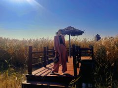 -东方华地城湿地温泉度假区