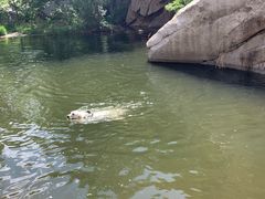 -碓臼峪自然风景区