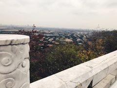 -上海佘山国家森林公园西佘山园