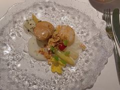 -蝶舍·MAISON PAPILLON