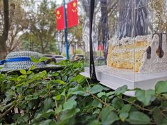 -西南政法大学(渝北校区)