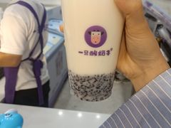-一只酸奶牛(八一路店)