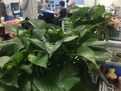 -新航道雅思托福·留学·考研培训(人民广场校区)