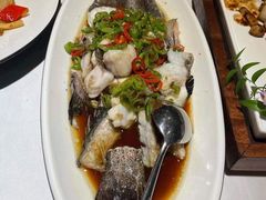 青椒葱香龙趸鱼-尚一汤 广东炖汤(金桥国际店)