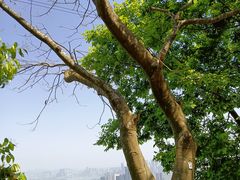 -小南山公园