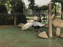 -陕西自然博物馆