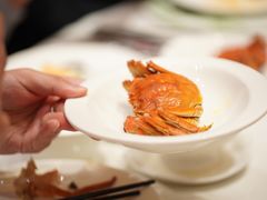 -成都保利公园皇冠假日酒店(熊猫基地店)