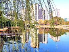 -新江湾城公园